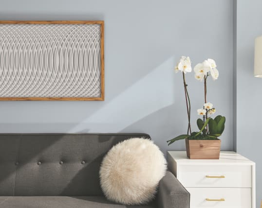 Personal Palette Image