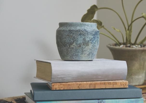 Organic Palette Image